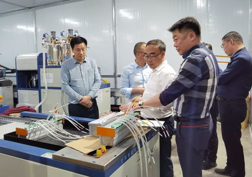 陽新新聞 萬鼎調研2023年度全市第二批次拉練項目建設情況