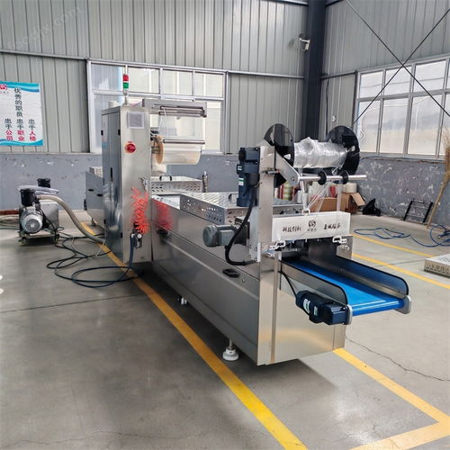 探索DZR520玉米漿包拉伸膜真空包裝機的卓越性能與聯達機械的專業服務